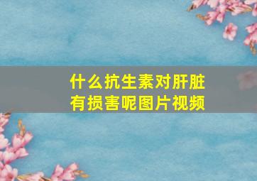 什么抗生素对肝脏有损害呢图片视频