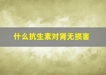 什么抗生素对肾无损害