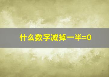 什么数字减掉一半=0