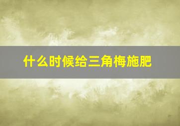 什么时候给三角梅施肥