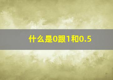 什么是0跟1和0.5