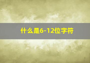 什么是6-12位字符