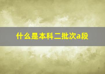 什么是本科二批次a段