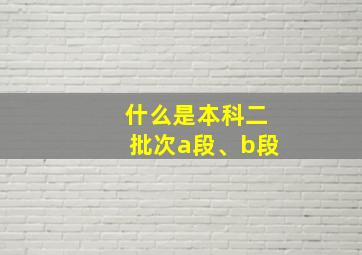 什么是本科二批次a段、b段