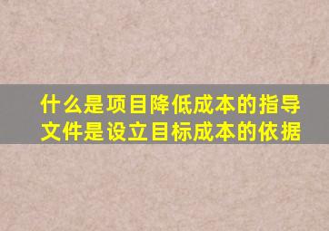 什么是项目降低成本的指导文件是设立目标成本的依据