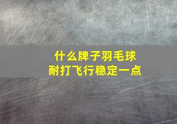 什么牌子羽毛球耐打飞行稳定一点