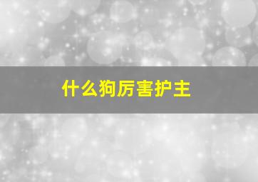 什么狗厉害护主