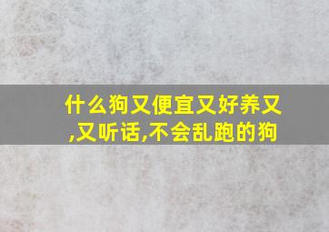 什么狗又便宜又好养又,又听话,不会乱跑的狗