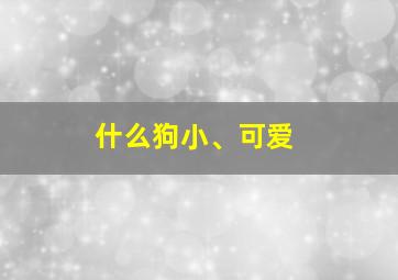 什么狗小、可爱