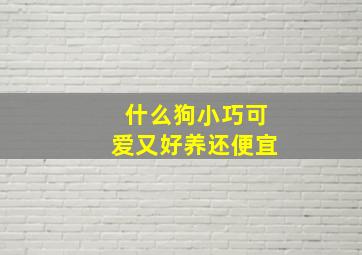 什么狗小巧可爱又好养还便宜