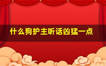 什么狗护主听话凶猛一点