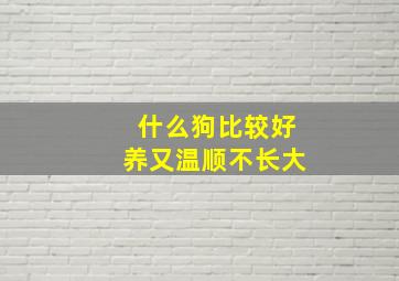 什么狗比较好养又温顺不长大