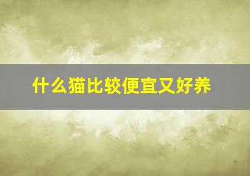 什么猫比较便宜又好养