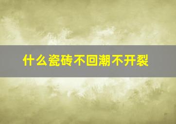 什么瓷砖不回潮不开裂