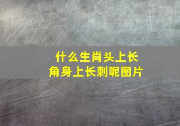 什么生肖头上长角身上长刺呢图片