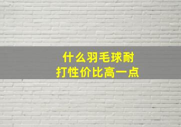 什么羽毛球耐打性价比高一点