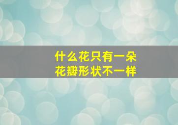 什么花只有一朵花瓣形状不一样