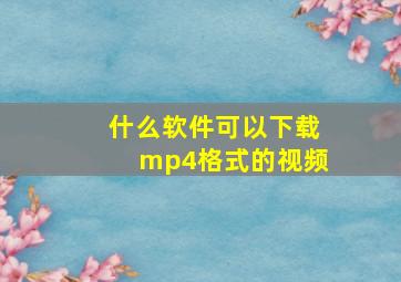 什么软件可以下载mp4格式的视频