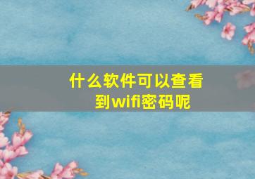 什么软件可以查看到wifi密码呢