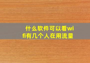 什么软件可以看wifi有几个人在用流量