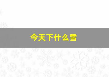 今天下什么雪