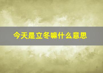 今天是立冬嘛什么意思