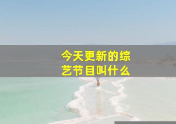 今天更新的综艺节目叫什么