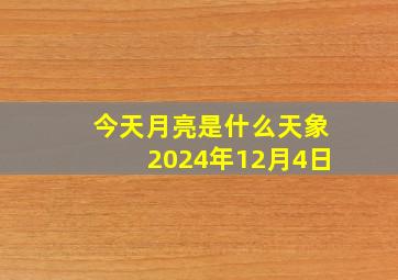 今天月亮是什么天象2024年12月4日