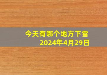 今天有哪个地方下雪2024年4月29日