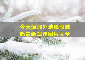 今天深圳外地牌限牌吗最新规定图片大全