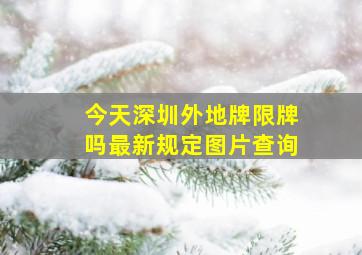 今天深圳外地牌限牌吗最新规定图片查询