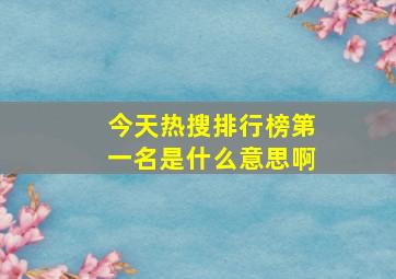 今天热搜排行榜第一名是什么意思啊