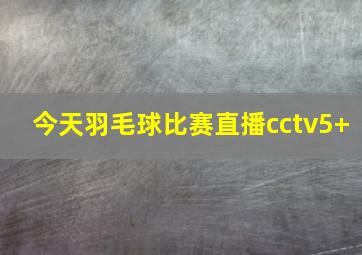 今天羽毛球比赛直播cctv5+