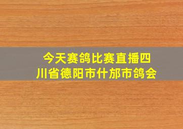 今天赛鸽比赛直播四川省德阳市什邡市鸽会