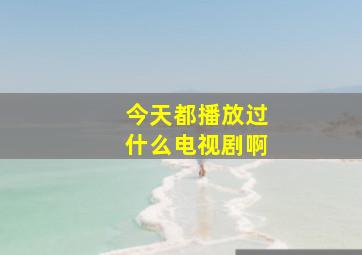 今天都播放过什么电视剧啊