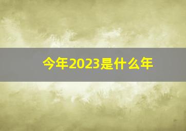 今年2023是什么年