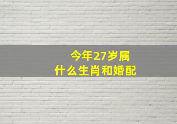 今年27岁属什么生肖和婚配