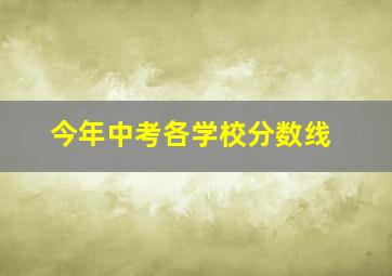 今年中考各学校分数线