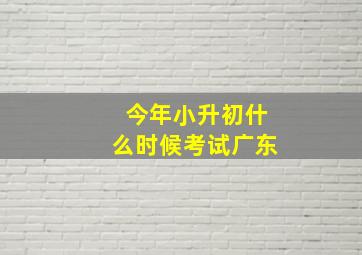 今年小升初什么时候考试广东