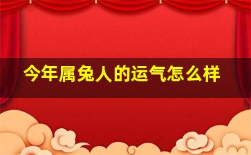 今年属兔人的运气怎么样