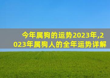 今年属狗的运势2023年,2023年属狗人的全年运势详解