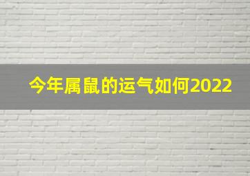 今年属鼠的运气如何2022