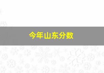 今年山东分数