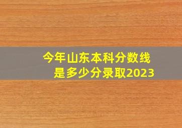 今年山东本科分数线是多少分录取2023