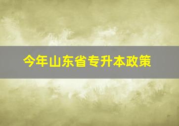 今年山东省专升本政策