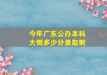 今年广东公办本科大慨多少分录取啊