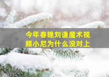 今年春晚刘谦魔术视频小尼为什么没对上