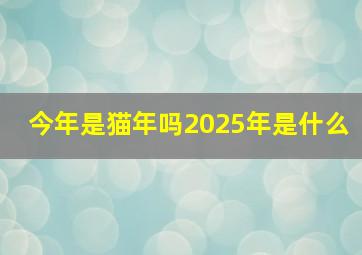 今年是猫年吗2025年是什么