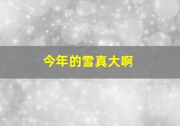 今年的雪真大啊