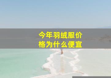 今年羽绒服价格为什么便宜